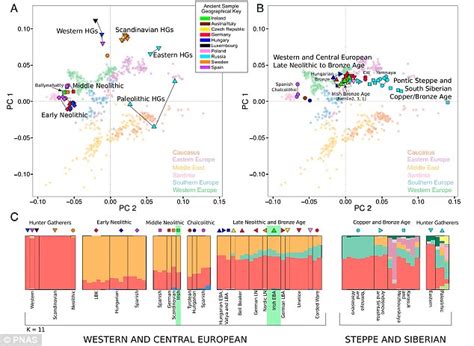 Ancient Celtic Genomes Reveal Ancestral Roots Of Modern Irish People