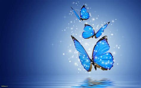 Teal Butterfly Wallpapers Top Free Teal Butterfly Backgrounds