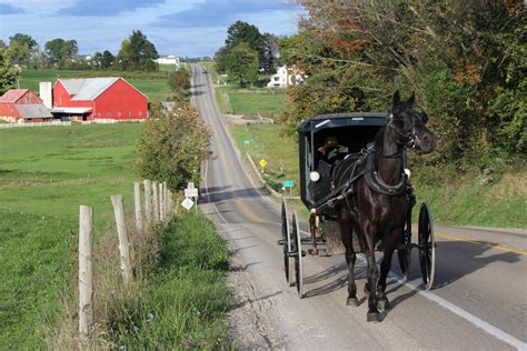 Where To Find The Best Amish Country Ohio Attractions