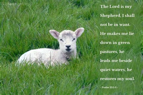 Psalm 231 3 — Verse Of The Day For 03175010