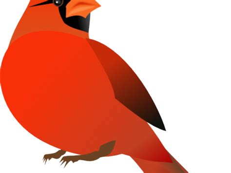 Cardinal Clipart In Flight Cardinal In Flight Transparent Free For