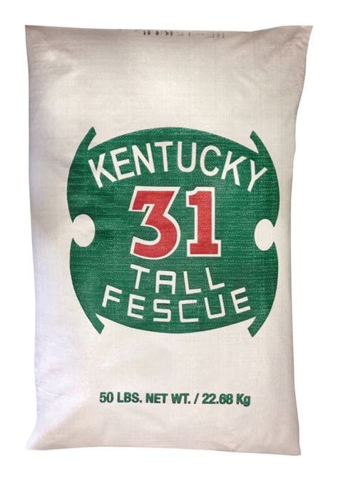 Barenbrug K3150plt 50 Lb Kentucky 31 Tall Fescue New Zealand Ubuy