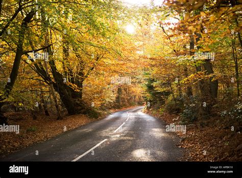 A Winding Country Road In Autumn Kent England Uk Stock Photo Alamy
