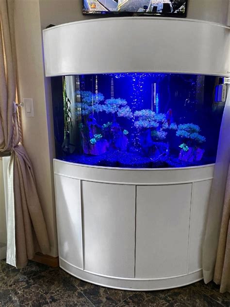 Beautiful Fish Tank Aquarium Setups Glass Fish Tanks Fish Tank Cool