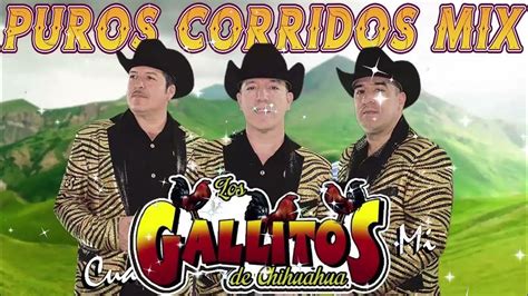 Los Gallitos De Chihuahua Las Mejores Canciones Corridos Y
