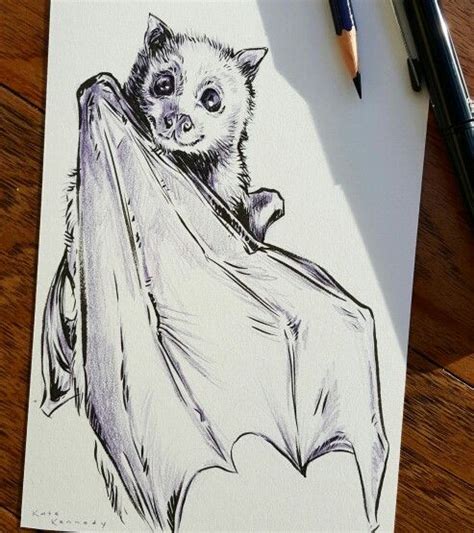 Happy Little Flying Fox Instagram Artbykatekennedy Art Drawing Bat