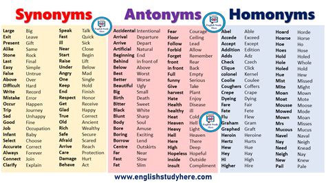 Synonyms Antonyms Homonyms List in English | Synonyms and antonyms, Homonyms list, Antonyms