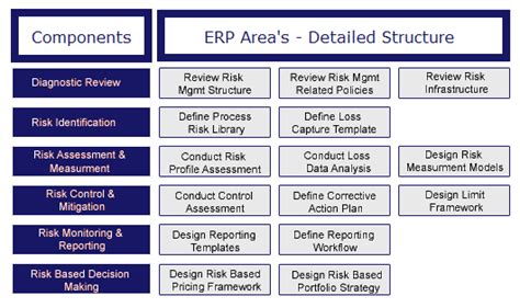 Enterprise Risk Management Definition Components Framework