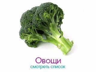 100 продуктов дюкан диета Продукты Дюкана. Разрешенные продукты диеты Дюкан. Продукты Дюкана. Разрешенные продукты диеты Дюкан. 100 продуктов дюкан диета