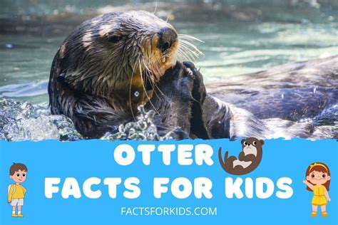 12 Otter Facts For Kids All About Our Floating Friends Facts For Kids