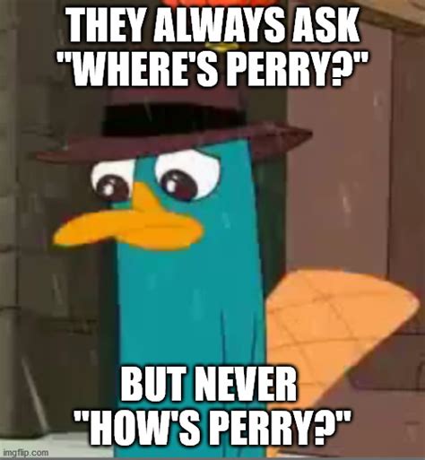 Depressed Perry Imgflip