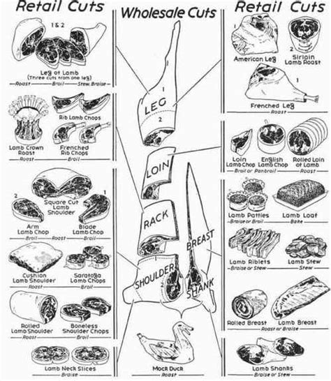 Cuts of lamb or mutton diagram. Meat Cuts And How To Cook Them. Lamb Chart