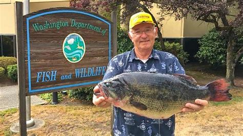34 Of The Biggest State Record Largemouth Bass Wired2fish