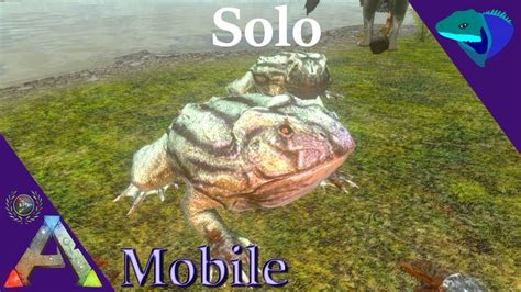 Beezlebufo Taming And How To Breed Tiny Frog Solo Ark Mobile S1e29