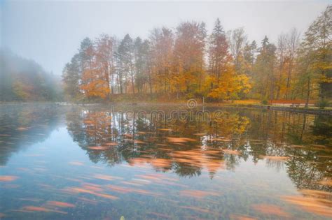 Autumn Landscape With Fog Over Lake Stock Image Image Of Tourism