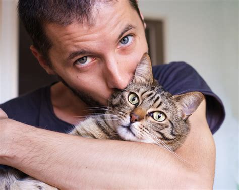 Happy Fathers Day 15 Cute Cat Dads And Their Favorite Kitties Pictures