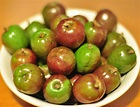 Siniguelas (Spondias purpurea) - in the cashew famiy and the fruits are ...