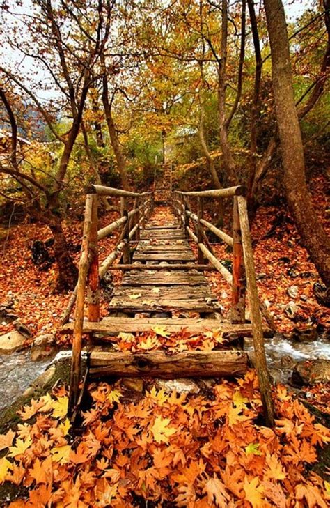 15 Inspirational Autumn Pictures Beautyharmonylife