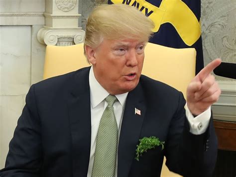 Trump says 'it looks like the Russians were behind Salisbury poisoning