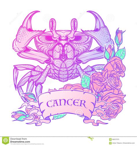 The crab (cancer sign) is a creature of the ocean and enjoys both the sand and the water. Zodiac Cancer. Pastel Colors Stock Vector - Illustration ...