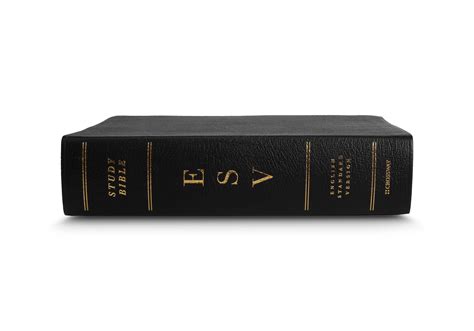 Esv Study Bible Genuine Leather Black Westminster Bookstore