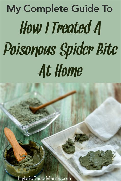 How To Treat A Spider Bite At Home Spider Bite Treatment Spider