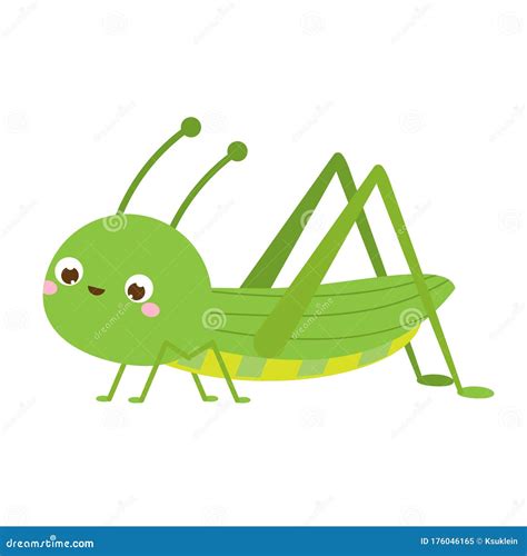 Cute Grasshopper Cartoon Insect Character Stock Vector Illustration