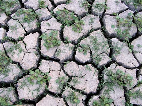 Cracked Earth Free Photo Download Freeimages