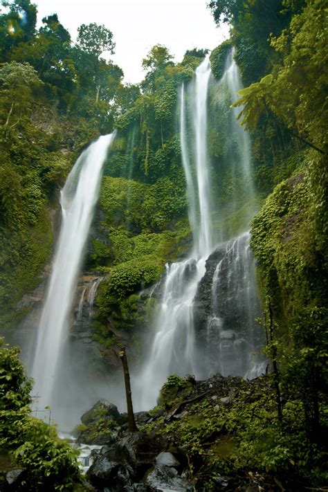 Sekumpul Waterfall Bali Complete 2023 Guide