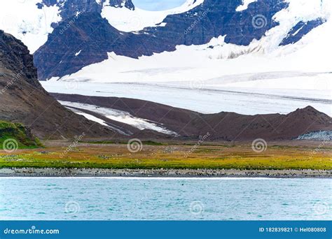 Beautiful Landscape Of South Georgia Snow Capped Mountains Rocks