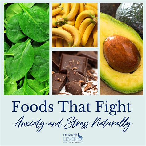 foods that fight stress and anxiety naturally dr joseph leveno