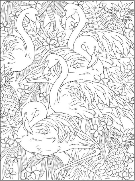 Welcome to Dover Publications | Bird coloring pages, Flamingo coloring