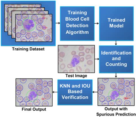 Block Diagram Of Automatic Blood Cells Identification And Counting