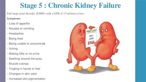 Five Stages Of Kidney Disease