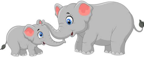 Best Baby Elephant Illustrations Royalty Free Vector Graphics And Clip