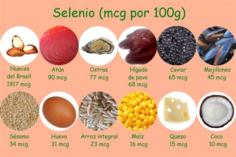 Los 10 Alimentos Más Ricos En Selenio