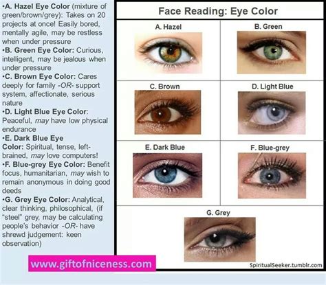 All About The Human Eye Color Chart Ovo Mod Fashion Curious If Your