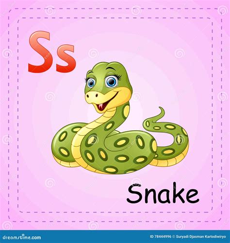 Animals Alphabet S Is For Snake Stock Vector Illustration Of