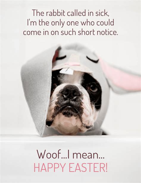 Funny Dog Easter Holiday Card Venngage