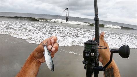 Surf Fishing With Live Mullet Cook And Catch Youtube