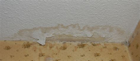 Taking care of overhead repairs can get complicated. WHAT THAT WATER STAIN IS TRYING TO TELL YOU | BOLT ...