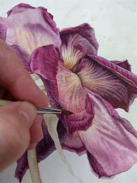 By Julia Trickey Botanical Art Floral Painting Flower Art