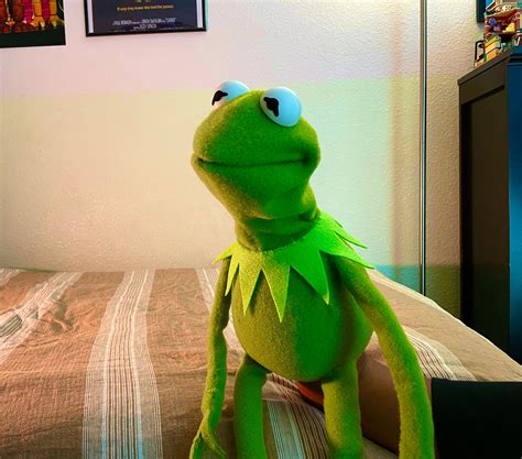 Kermit The Frog Puppet Muppet Replica 11 Ph
