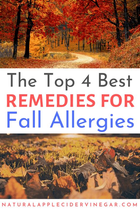 Home Remedies For Fall Allergies