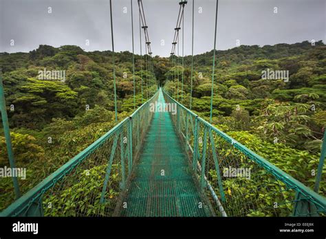 High Suspended Bridge Over The Cloud Forest From Costa Rica Stock Photo