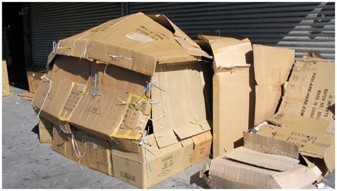 Cardboard Housing Unit As Homeless Shelter In Los Angeles