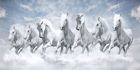7 Horse Full Hd Wallpaper White Horse Painting Horse Wallpaper