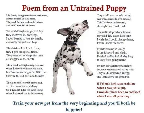 Check spelling or type a new query. Poem from an Untrained Puppy - Sad but tragically true in a lot of instances. | More Good Stuff ...
