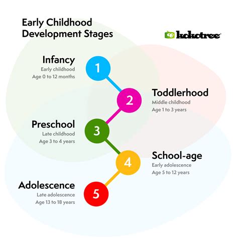 What Are The Stages Of Child Development Kokotree