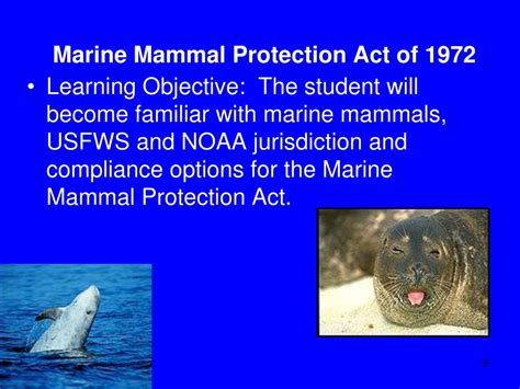 Ppt Marine Mammal Protection Act Of 1972 Powerpoint Presentation